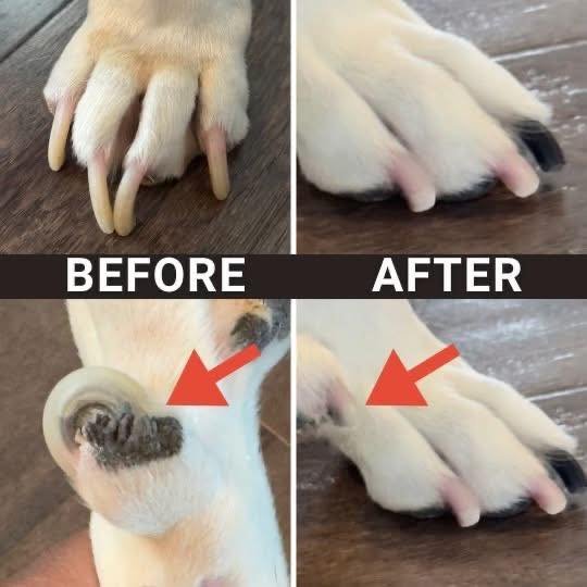 Before and After Nail Trimming