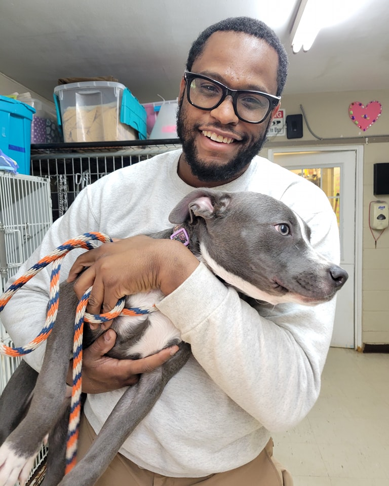 Kameron at DAWGS of Denison Animal Shelter
